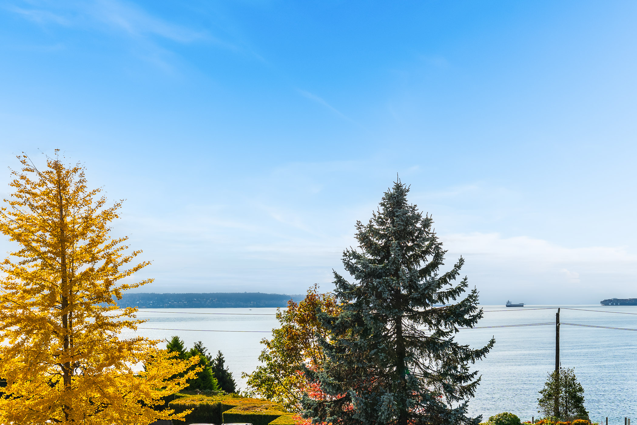 #302 – 2271 Bellevue Avenue